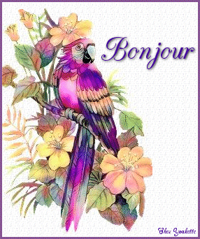 Bonjour et bonne journée à tous   !!!
